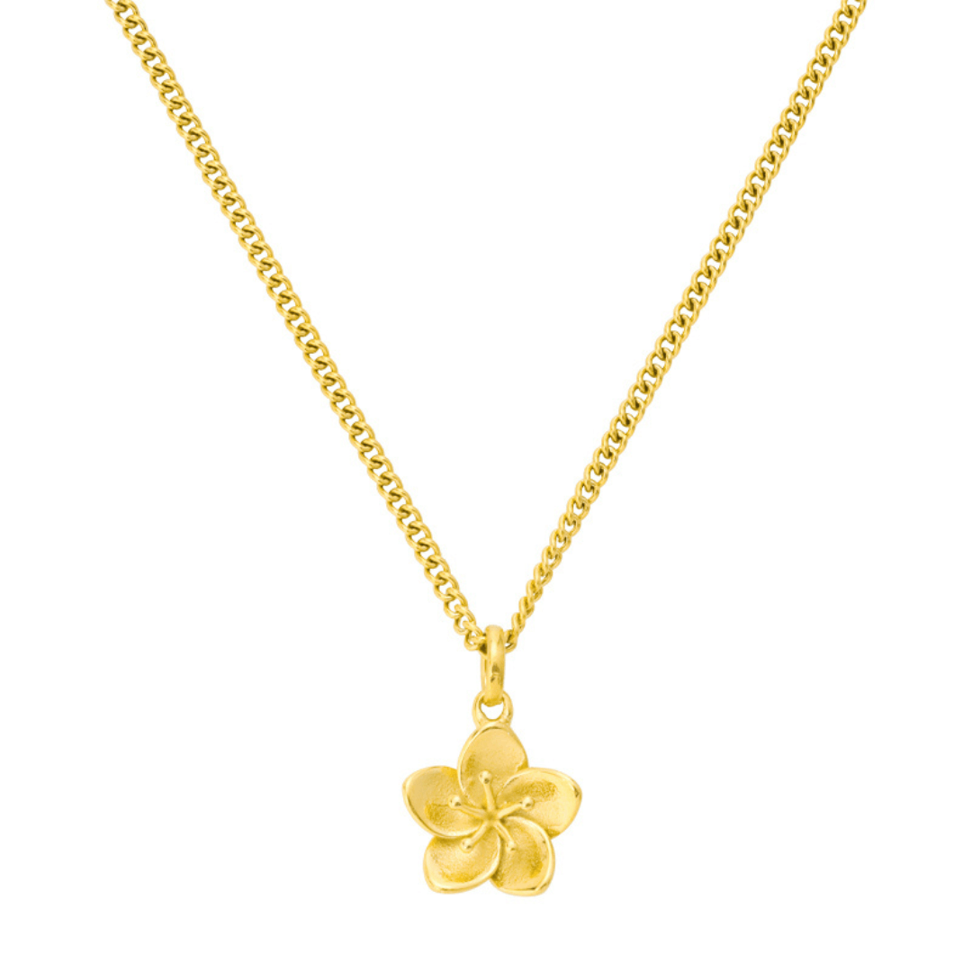 Coastal Crush Necklace Collection