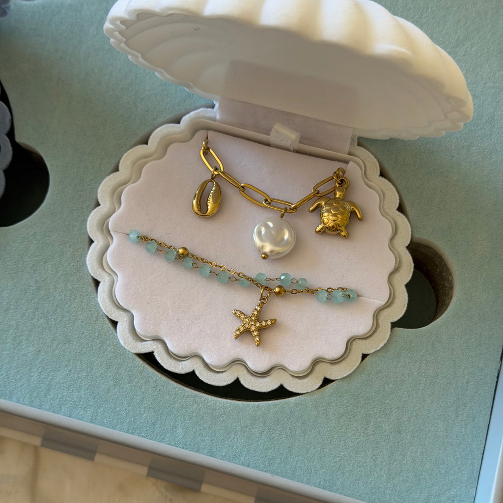 The Coastal Treasure Box