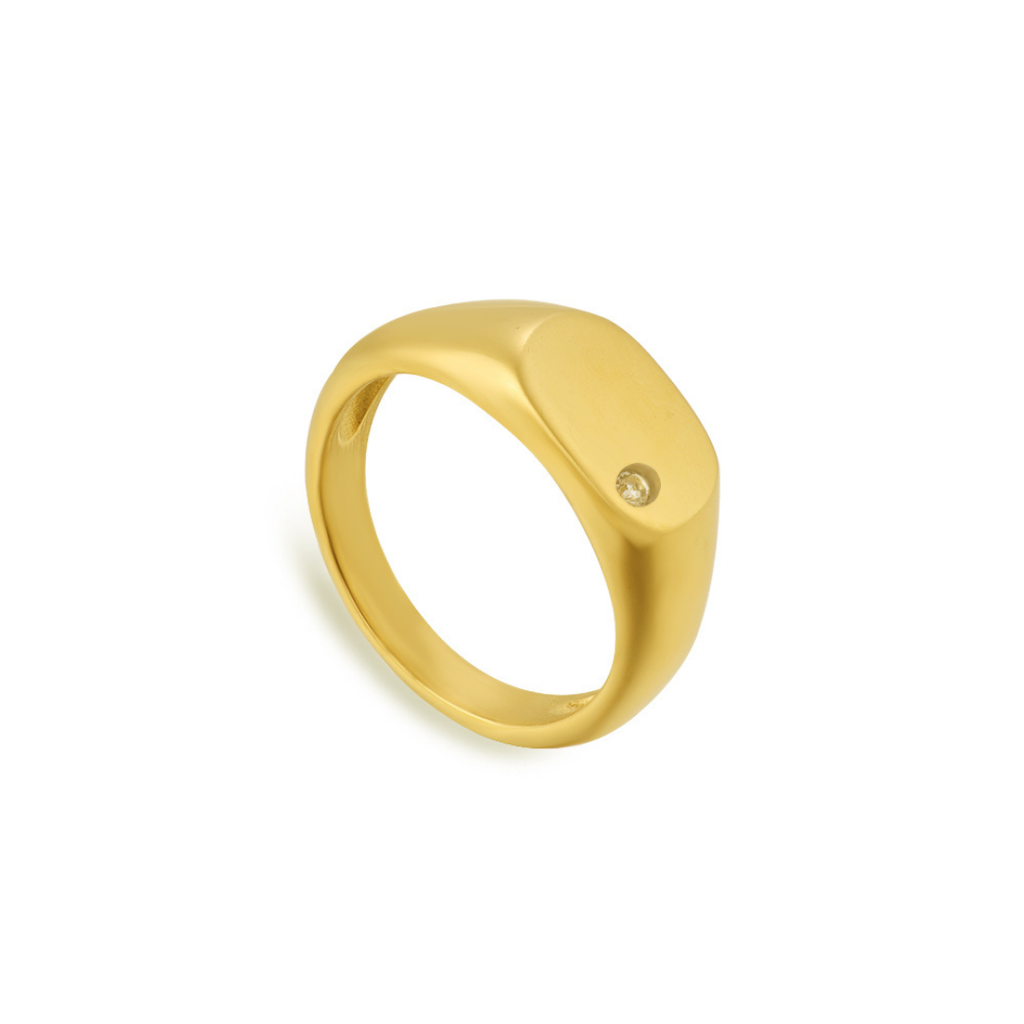 Legacy Ring - EVRYJEWELS