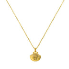 Seashell Necklace - AQeCom