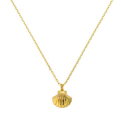 Seashell Necklace - AQeCom