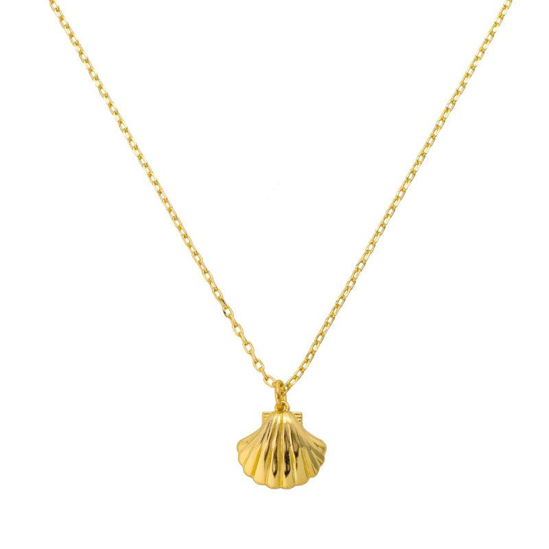 Seashell Necklace - AQeCom