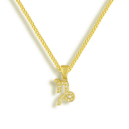 Star Signs Necklace - AQeCom