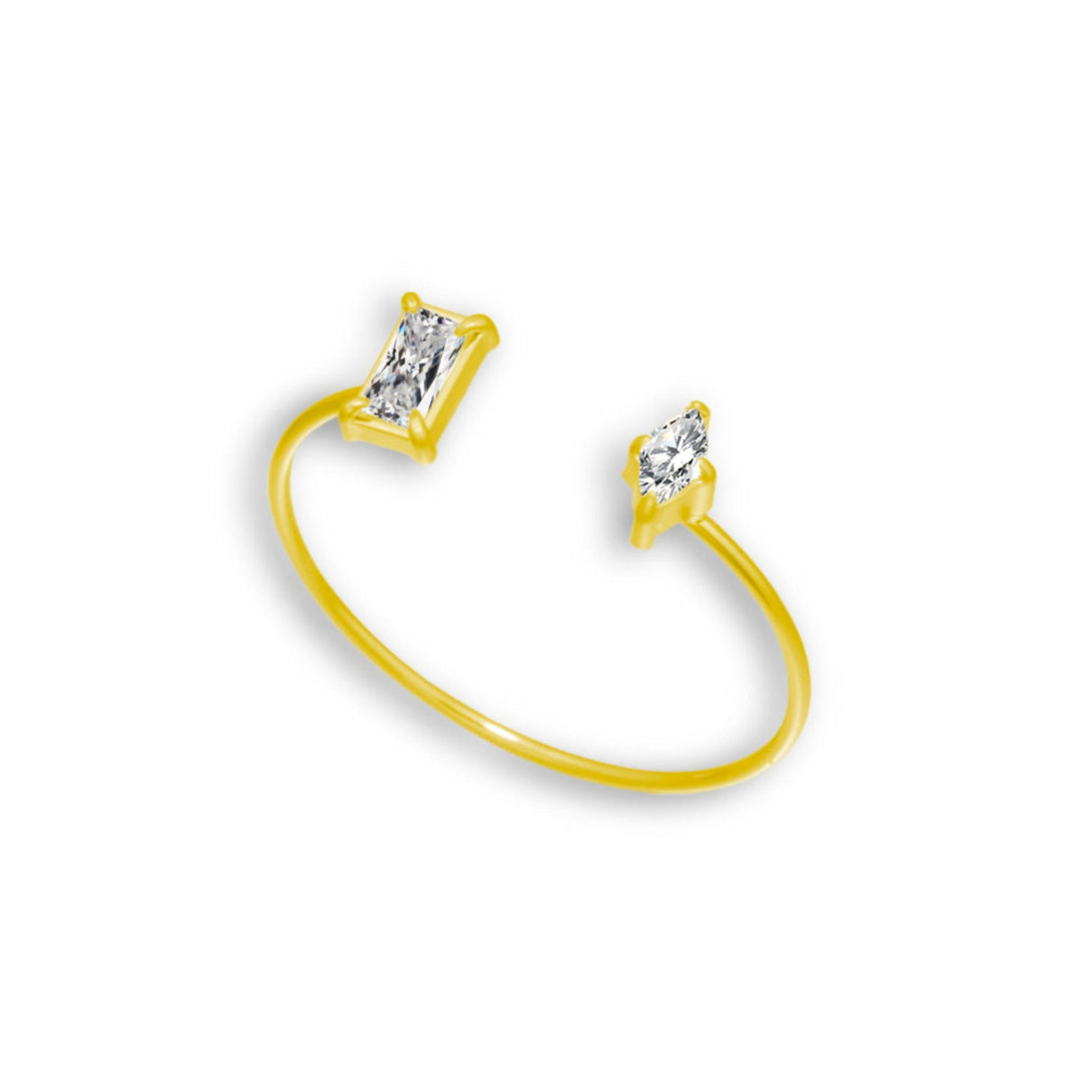 Two of a Kind Ring